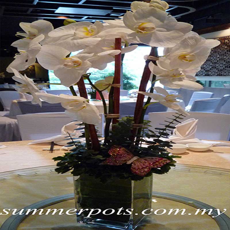 Venue Decor 063 