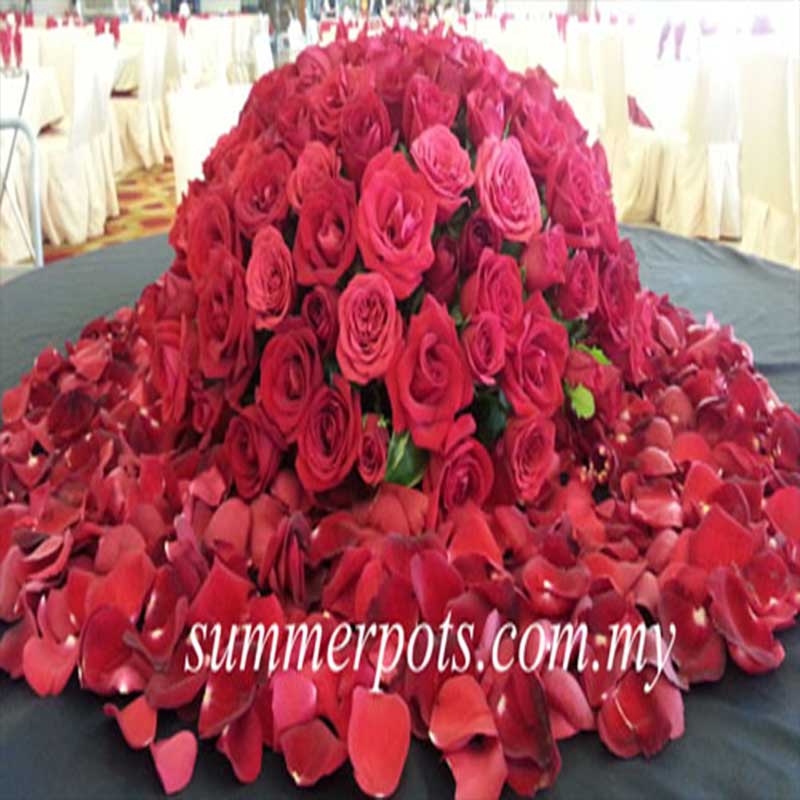 Venue Decor 108 