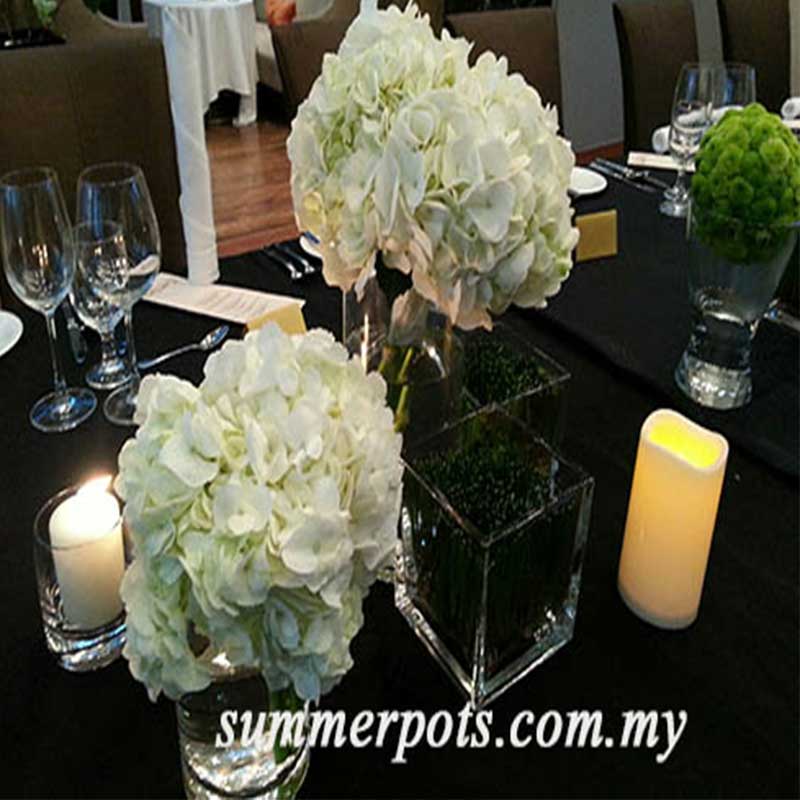 Venue Decor 141 