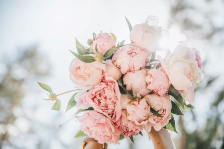 Peony - Popular Wedding Flower Bouquet 