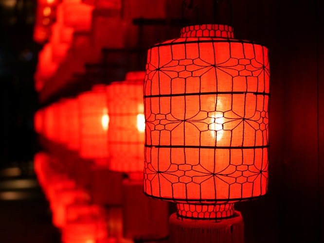 Top 9 Lucky Chinese New Year Flowers and Fruits in 2020