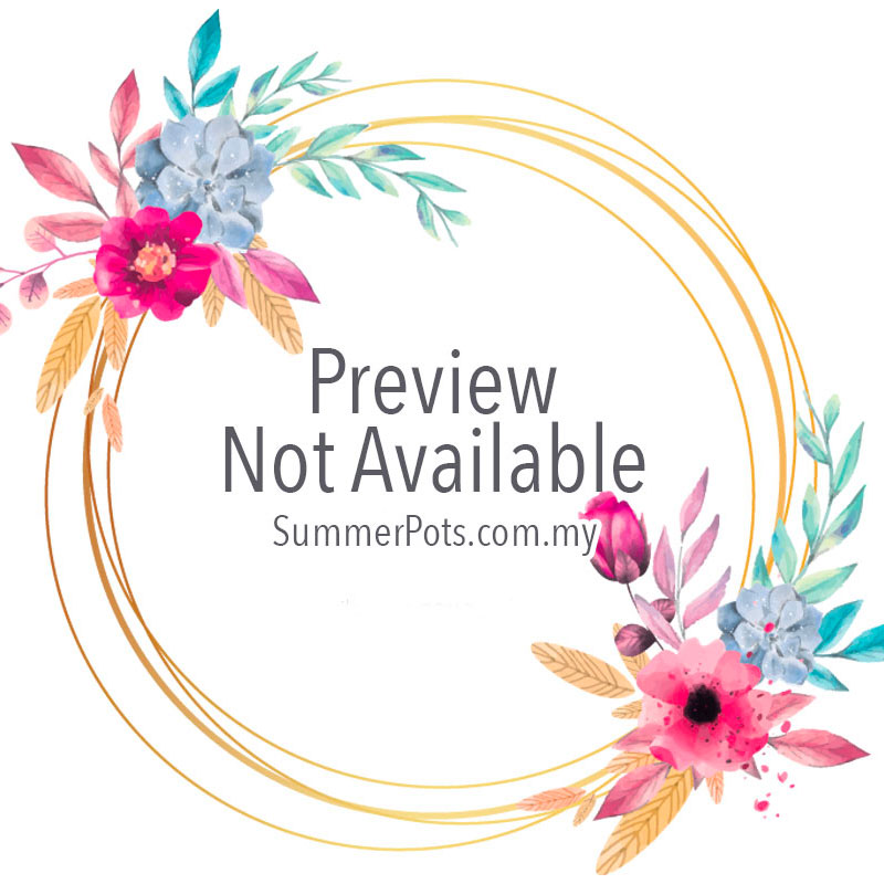 Flower & Cake 080