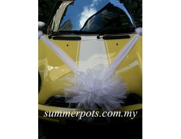 Wedding Car 030a