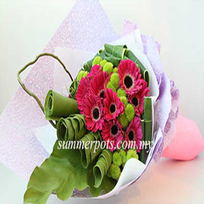 Gerbera Bouquet 213