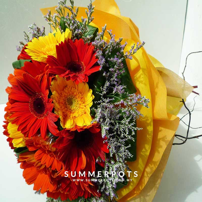 Gerbera Bouquet 334