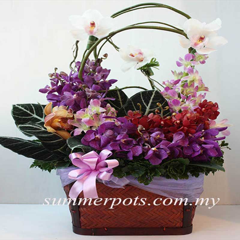 Flower Basket 048
