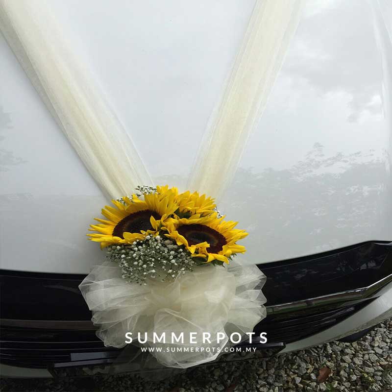 Wedding Car 033