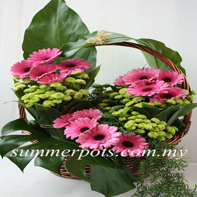 Basket 025