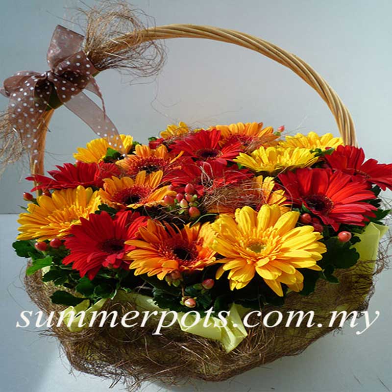 Basket 036