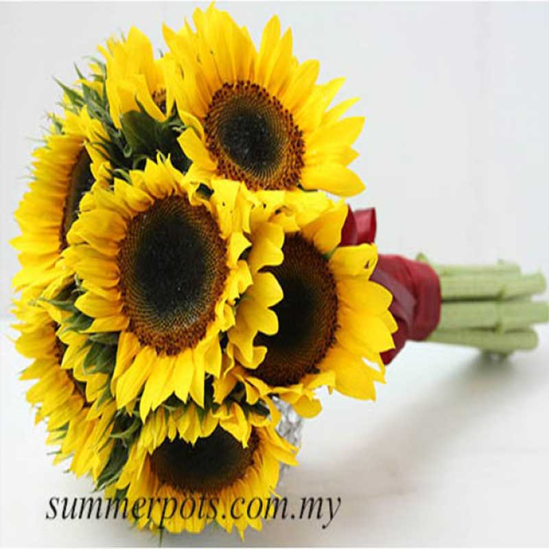 Sunflower Bouquet 356