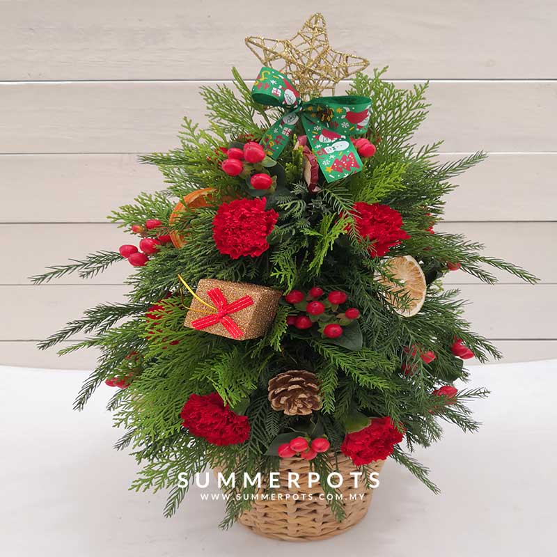 Christmas Flower 16