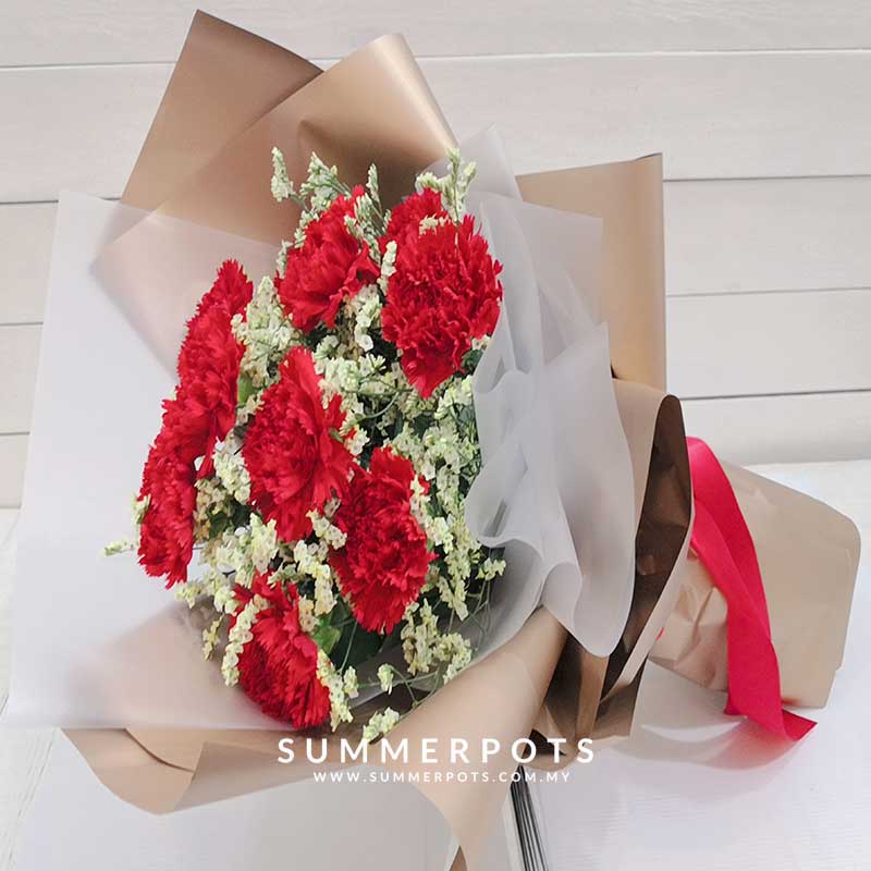 Carnations Bouquet 431