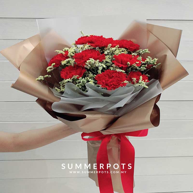 Carnations Bouquet 431