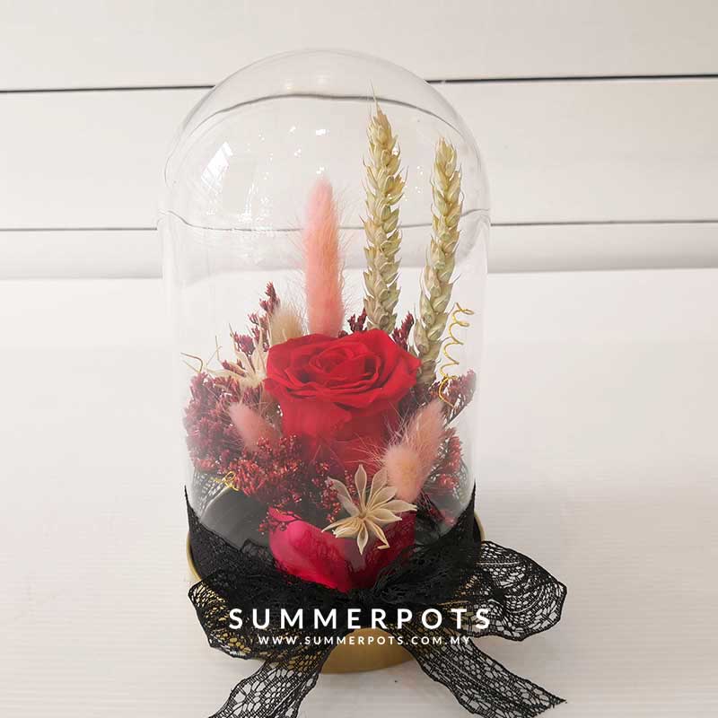 Preserved Flowers 50