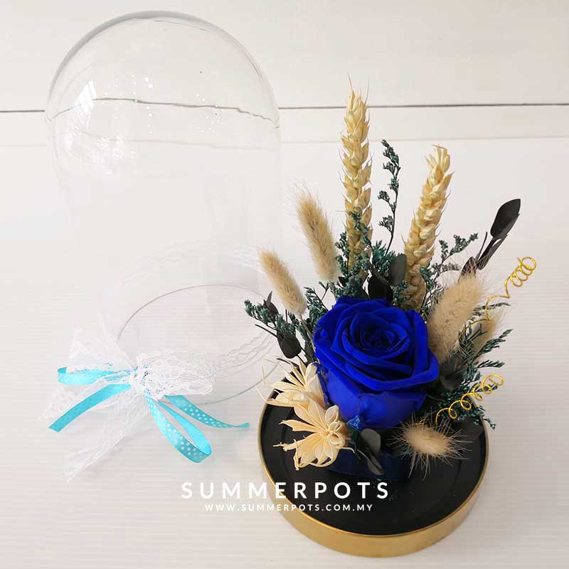 Preserved Flowers 52