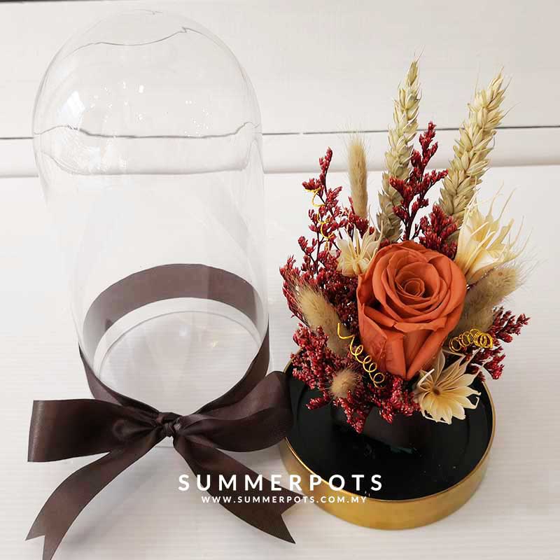 Preserved Flowers 53