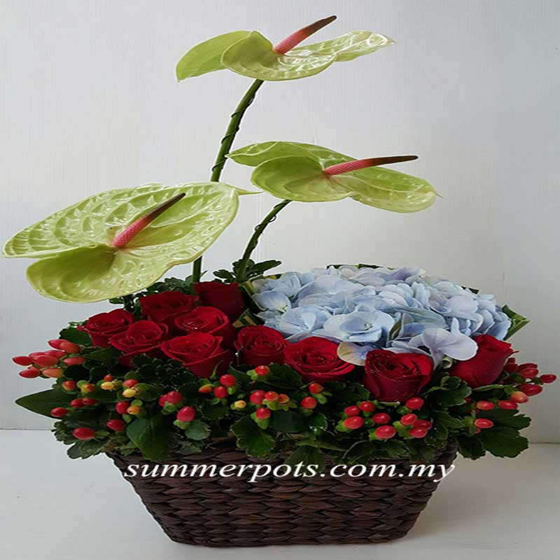 Flower Basket 011