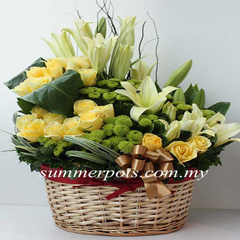 Basket 022