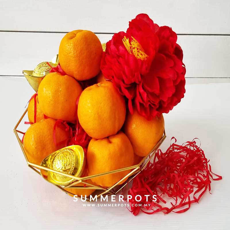 CNY Oranges 22