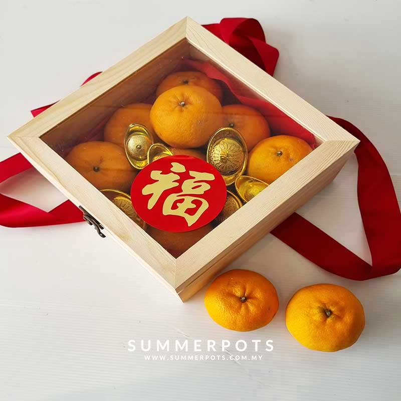 CNY Oranges 31