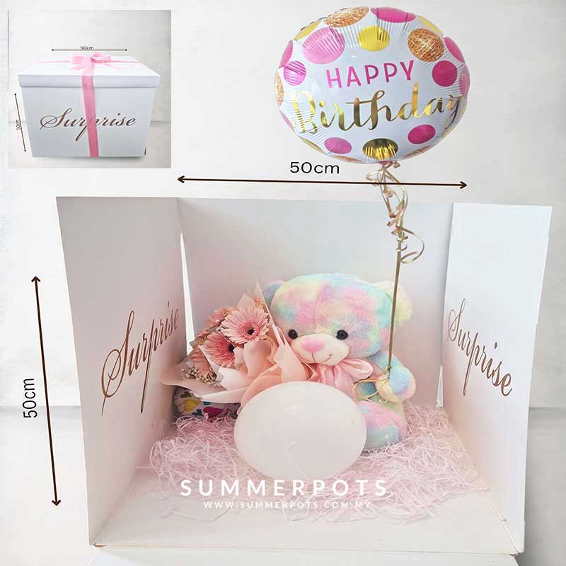 Surprise Gift Box 002