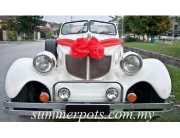 Wedding Car 004a