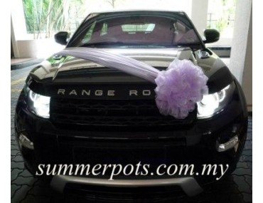 Wedding Car 007a