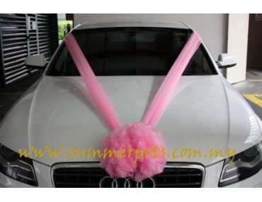 Wedding Car 008a