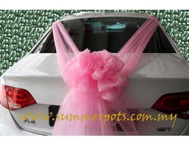 Wedding Car 008b