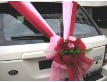 Wedding Car 016b