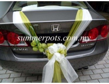 Wedding Car 017b