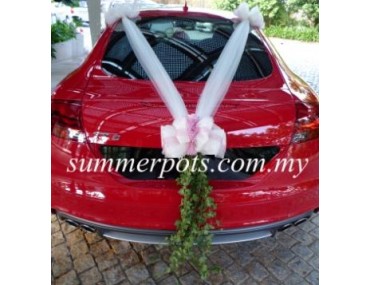 Wedding Car 022b