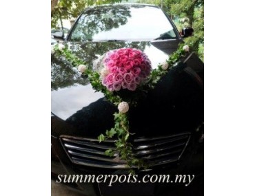 Wedding Car 024a