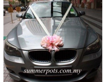 Wedding Car 025a