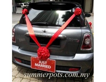 Wedding Car 028b