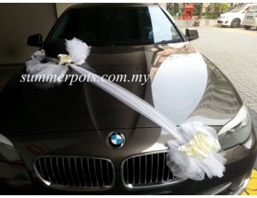 Wedding Car 029a